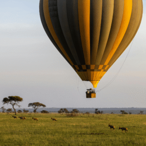 2-Day Maasai Mara Game Drive Safari