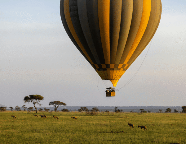 2-Day Maasai Mara Game Drive Safari